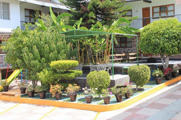 Hotel Avenida Ixmiquilpan image 3
